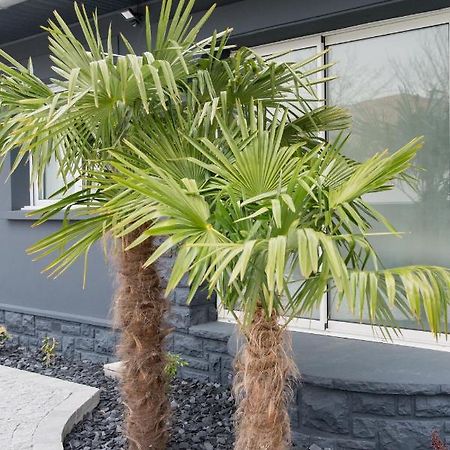 Amontarrena Βίλα Ανγκλέ Εξωτερικό φωτογραφία